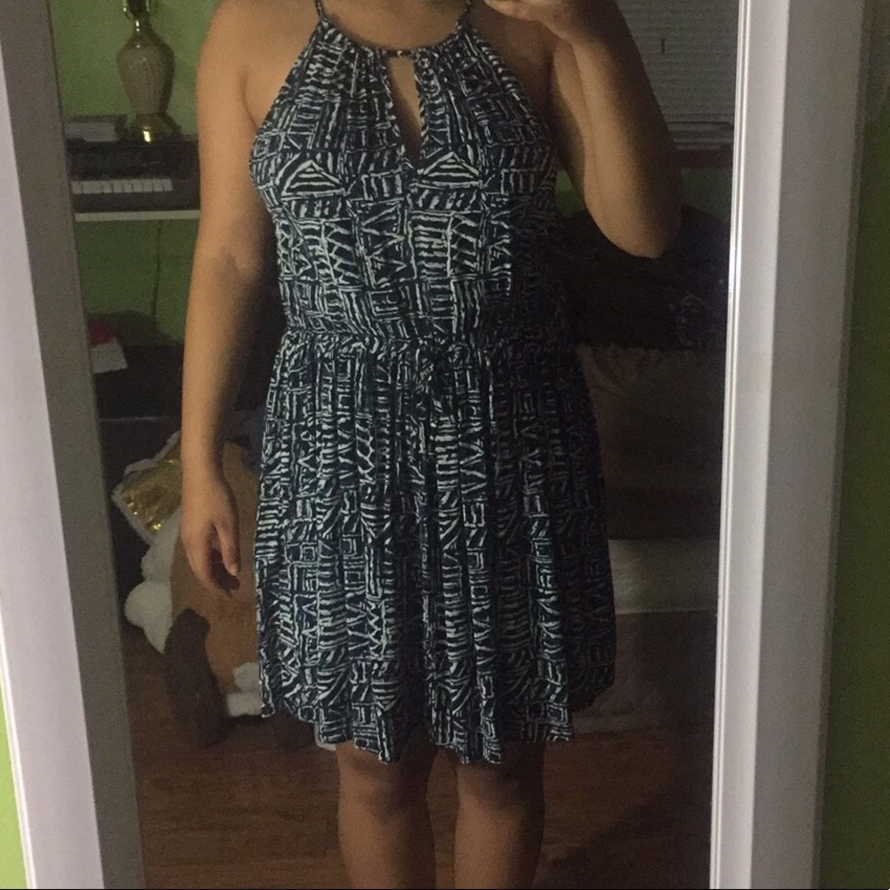 Blue and white Skater dress